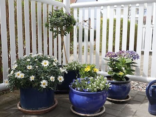 Ferienwohnung Göhren Ausstattung 13