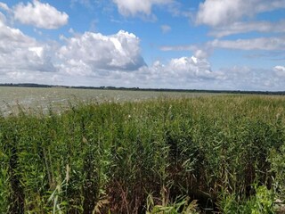 Vakantiehuis Tisvildeleje  29