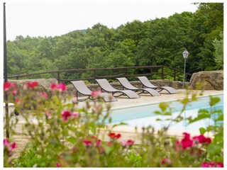 Villa Città di Castello Buitenaudio-opname 7