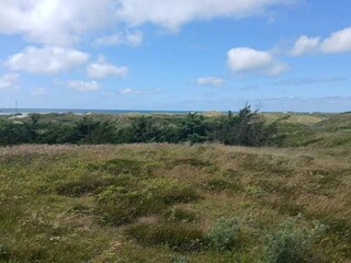 Vakantiehuis Blåvand  5