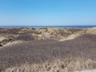 Vakantiehuis Blåvand  24