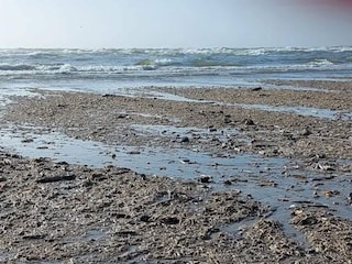 Ferienhaus Blåvand  45