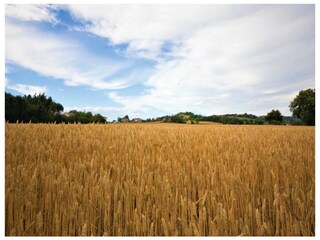 Villa Umbertide Ambiente 24