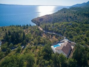 Wunderschöne Villa mit Pool - Starigrad - image1