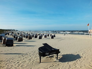 Maison de vacances Trassenheide Environnement 36