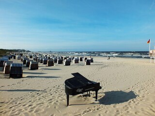 Holiday house Trassenheide Environment 30