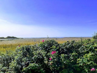 Holiday house Stauning Outdoor Recording 3