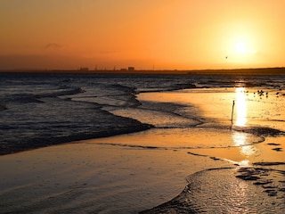 Holiday house Trassenheide Environment 32