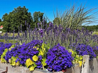 Ferienhaus Ellös  12