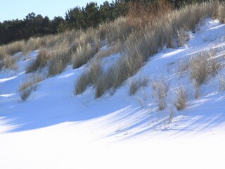 Casa de vacaciones Trassenheide Entorno 49