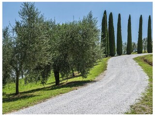 Villa San Miniato Buitenaudio-opname 7