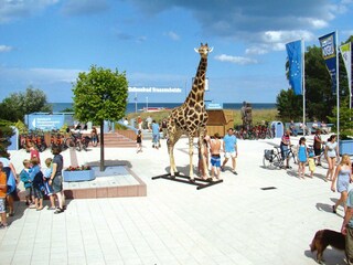 Casa per le vacanze Trassenheide Ambiente 42