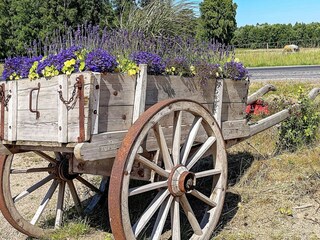 Holiday house Ellös  16