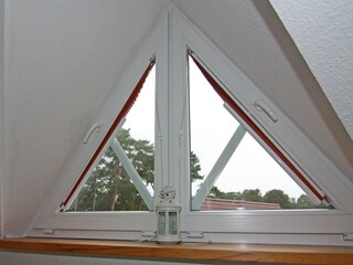 Vakantiehuis Trassenheide Kenmerken 5