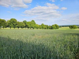 Vakantiehuis Richelieu Omgeving 22