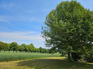 Maison de vacances Richelieu Environnement 22