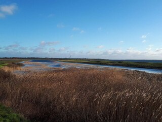 Holiday house Sønderballe  28
