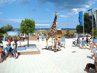 Holiday house Trassenheide Environment 39