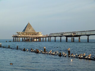 Vakantiehuis Trassenheide Omgeving 40
