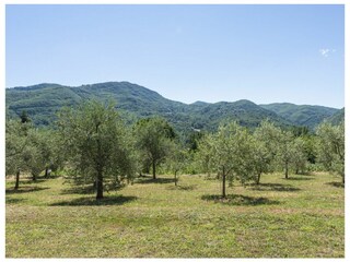 Villa San Marcello Pistoiese Ambiente 37