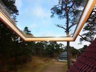 Ferienhaus Trassenheide Außenaufnahme 7