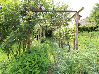 Casa de vacaciones Belluno Grabación al aire libre 9