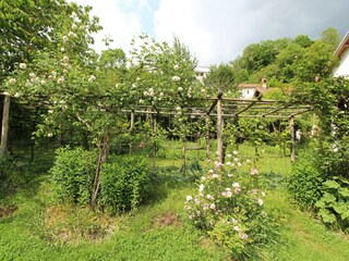 Vakantiehuis Belluno Buitenaudio-opname 11