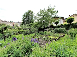 Ferienhaus Belluno Außenaufnahme 6