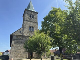 Ferienhaus Steinhude Umgebung 38