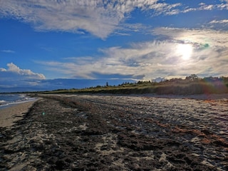 Ferienhaus Marielyst  41