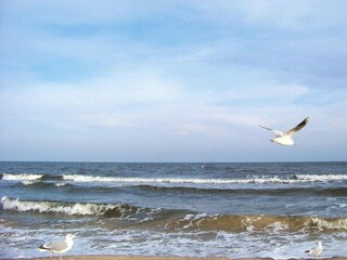 Appartamento Ahlbeck (Usedom)  26