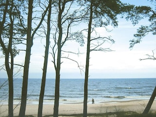 Apartment Ahlbeck (Usedom)  29