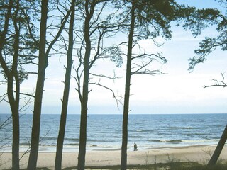 Appartement Ahlbeck (Usedom)  33