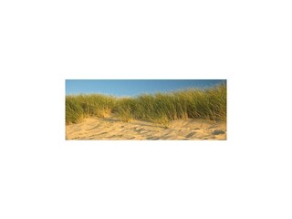 Holiday house Colijnsplaat Environment 31