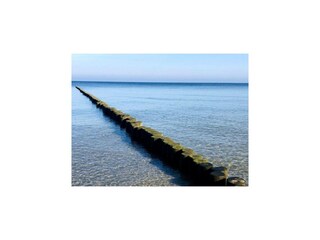 Appartement Trassenheide Environnement 30