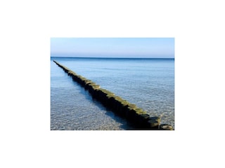 Appartement Trassenheide Omgeving 29