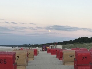 Appartement Trassenheide Environnement 26