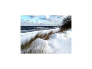 Apartment Trassenheide Environment 27