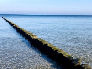 Apartamento Trassenheide  28