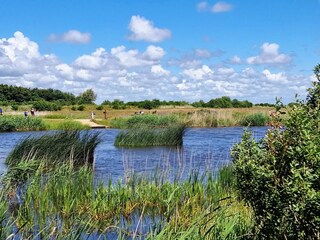 Vakantiehuis Skaven Strand  35