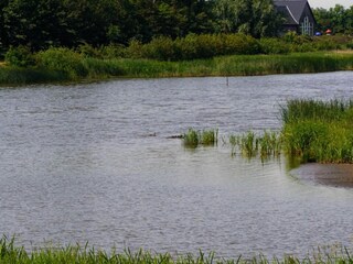 Ferienhaus Skaven Strand  36