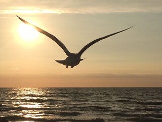 Genießen Sie wundervolle Sonnenuntergänge am Meer