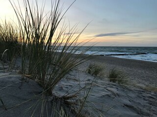 Den Strand von Dierhagen endlos genießen