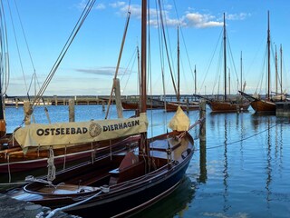 Am Bodden - der Hafen von Dierhagen