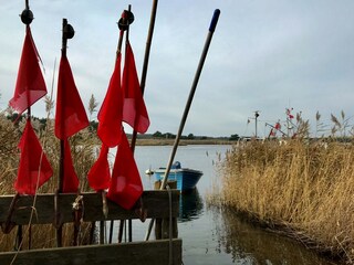 Natur erleben auf Fischland-Darss-Zingst