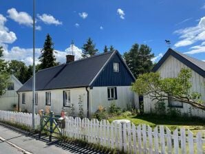 Vakantiehuis 4 persoons vakantie huis in EVERÖD-By Traum - Degeberga - image1