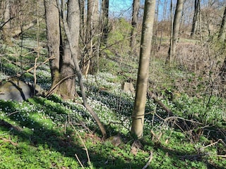 Ferienhaus Degeberga  20