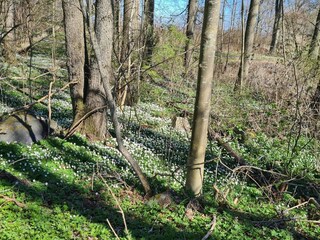 Vakantiehuis Degeberga  11