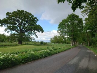 Ferienhaus Degeberga  29