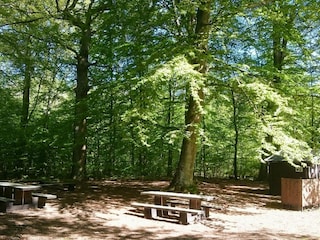 Ferienhaus Degeberga  13